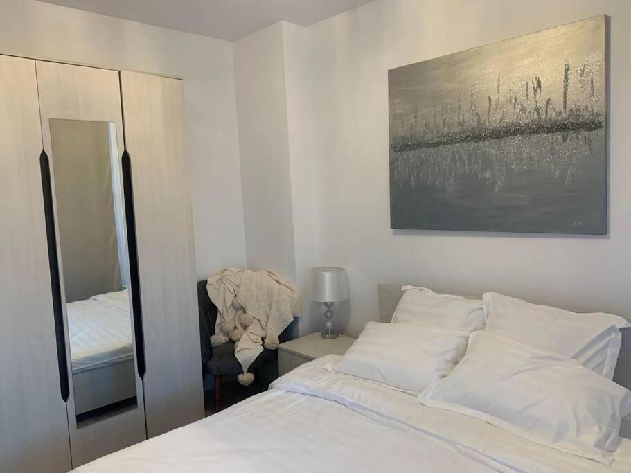Cool Apartment ティミショアラ エクステリア 写真